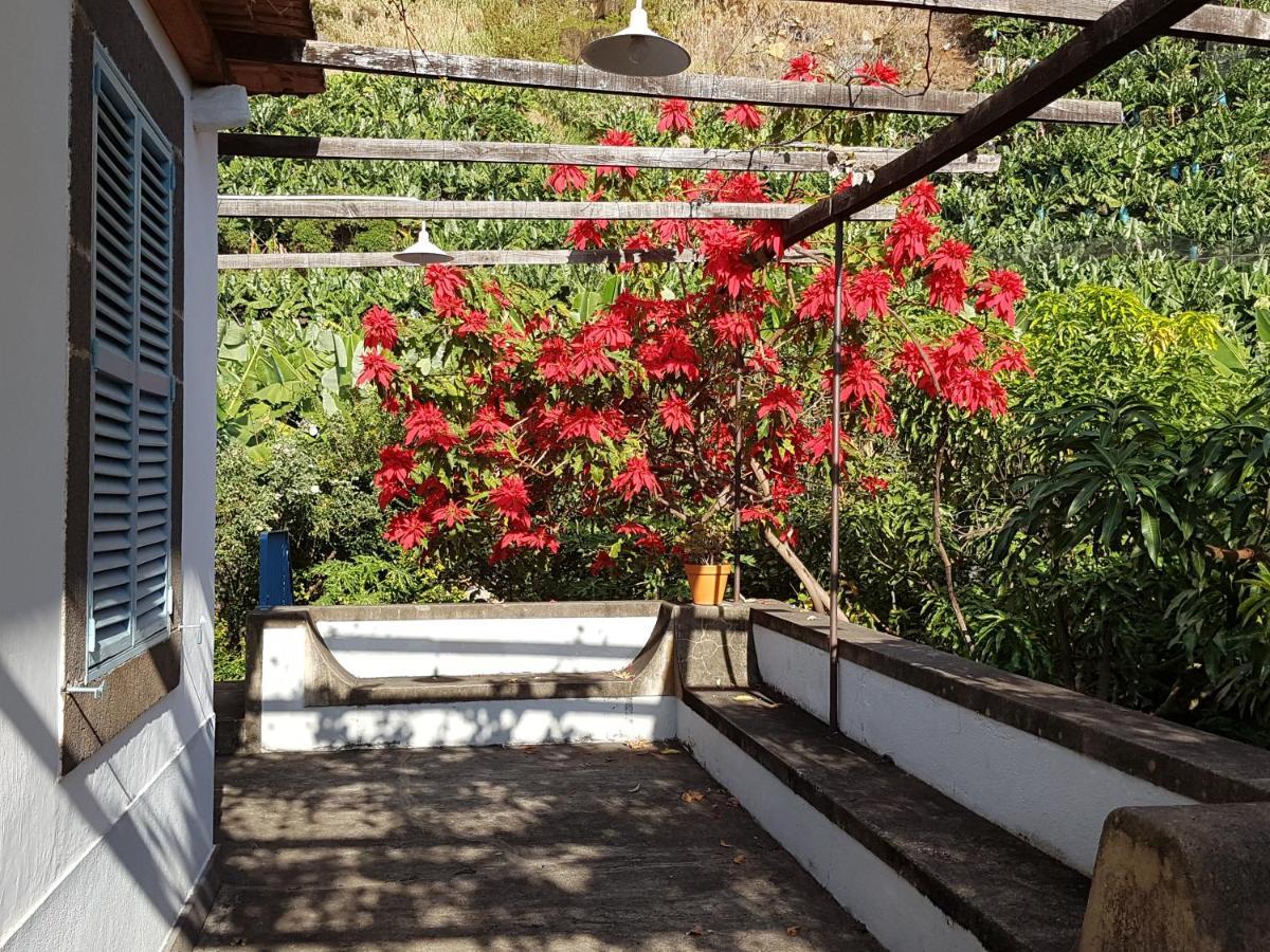 Casa Da Madalena Do Mar Villa Екстериор снимка
