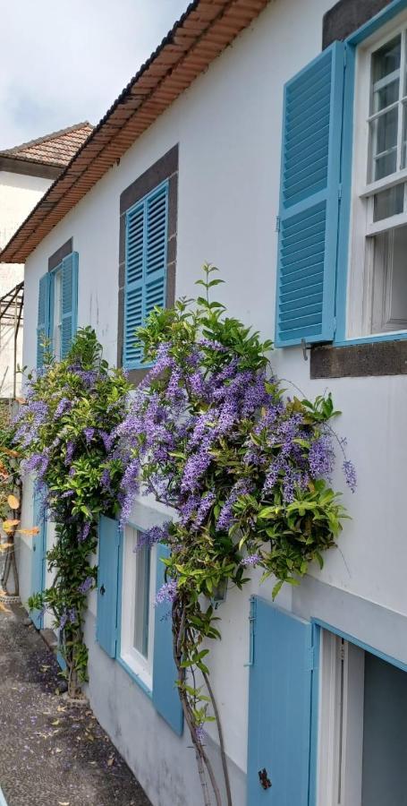 Casa Da Madalena Do Mar Villa Екстериор снимка
