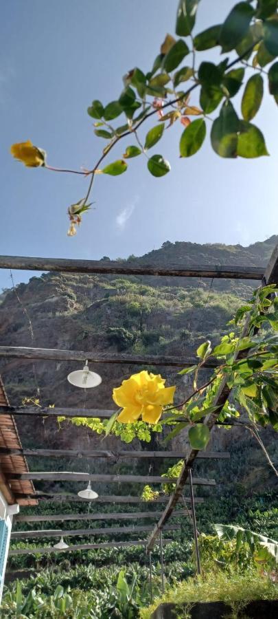Casa Da Madalena Do Mar Villa Екстериор снимка